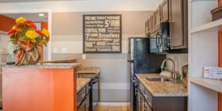 Nova Chapel Hill Gallery 18