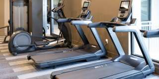 Paloma Village Gallery 14