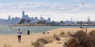 Star Harbor Gallery 28