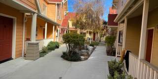 Mission Orchard Gallery 19