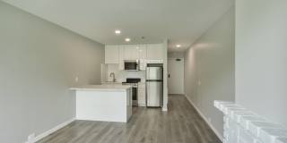 Telegraph Hill Gallery 7