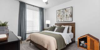 The Steadman Apartments Gallery 61