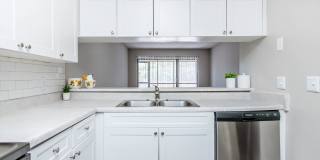 Solana Vista Gallery 59