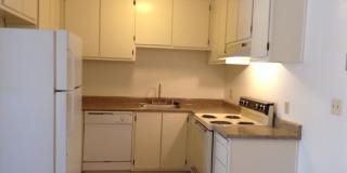 519 Downie Street Gallery 10
