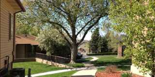 Orchard Gardens  (OG) Gallery 15
