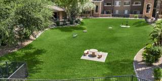 Stonebridge Ranch Gallery 21