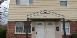 6941 Gracely Dr Gallery 1
