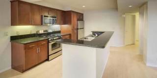 Towpath Village Gallery 14