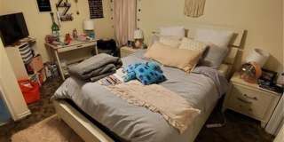 College Station - 3 bedroom /3 bath HOUSE Near TAMU! Gallery 15