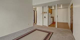 Conifer Grove Gallery 10