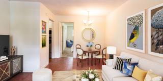 The Meadows Gallery 1