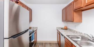 Mountain Steppes Gallery 1