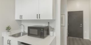 Novo Novo Gallery 13