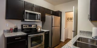 Antler View Gallery 17