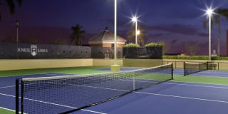 Sunrise Harbor Gallery 25