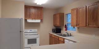 Walk to FSU! 4/2 w/ 2 Living Spaces, Wood Floors, Large Yard, & Washer/Dryer! Avail Aug 6th for $1825/month! Gallery 6