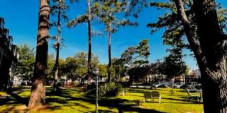 Treemont Senior Living Gallery 12