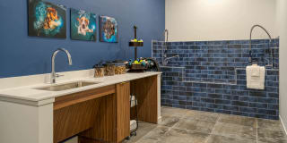 Zephyr on the Park Apartments Gallery 57