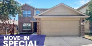 15106 Cinnamon Teal Gallery 1