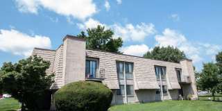 Forest Creek Gallery 14