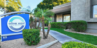 Olive East Gallery 19