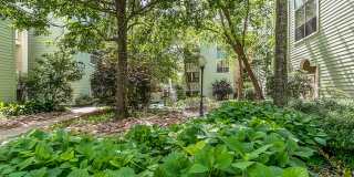 Hickory Creek Central Gallery 17