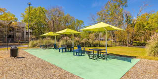 Ellevate St. Ives Gallery 20