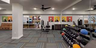 Student Housing - Luxe Belle Gallery 15