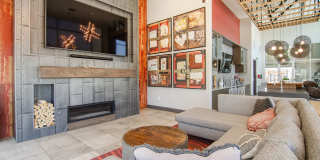 Vive on the Park Gallery 13