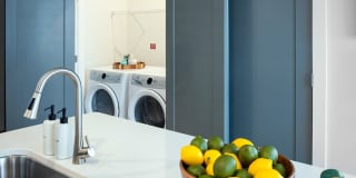 The Heron at River Island Gallery 17