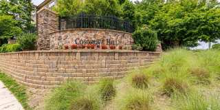 Cosgrove Hill Gallery 31