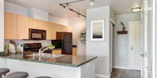 Summit at Madison Park Gallery 15