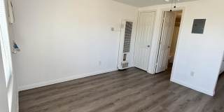 304 Clyde Street - D Gallery 1