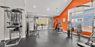 Avana Lexington Gallery 63