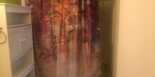 8424 LAZY CREEK Court Gallery 10