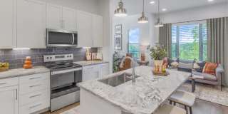 Enclave Piney Mountain Gallery 45