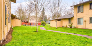Maple Terrace Gallery 7