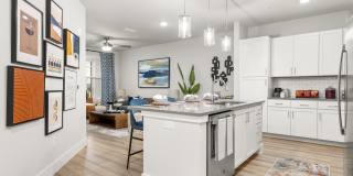 Longleaf at St. Johns Gallery 2