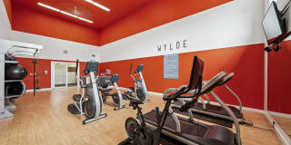 Wylde at Eagle Creek Gallery 14