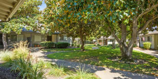 Rindle Ranch Senior Apartment Homes Gallery 2