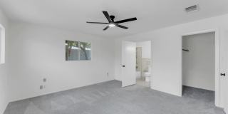 1803 Bluebonnet Gallery 24