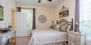 Stone Mist Gallery 13