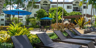 Emerald Palms Gallery 31