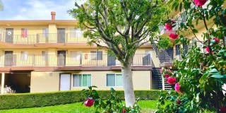 Orange Terrace Apartments Gallery 20