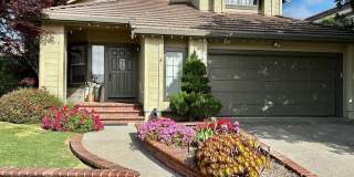 Luxury 4 Bedroom Home with Pool & Spa in Fremont's Desirable Northgate Neighborhood! Luxury 4 Bedroom Home with Pool & Spa in Fremont's Desirable Northgate Neighborhood! Gallery 2