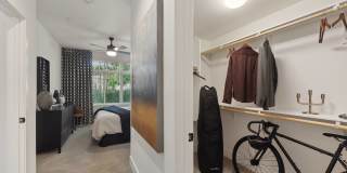 Vive Luxe Gallery 11