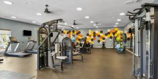 3936 Saddle Oak Drive Gallery 34