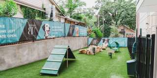 Alexan Buckhead Village Gallery 25