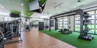 Solara Vista Gallery 35