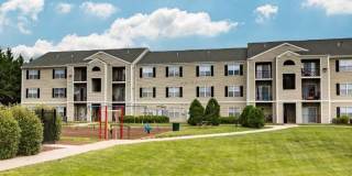 Mallside Forest Gallery 2